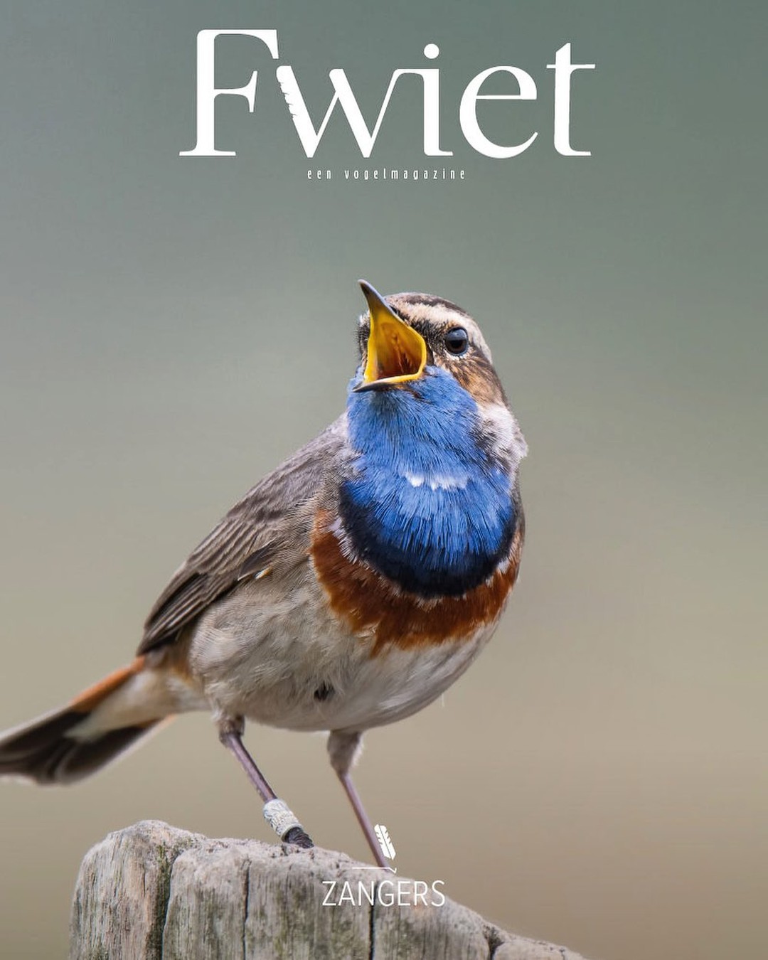 Vogelmagazine Fwiet aan derde editie toe!